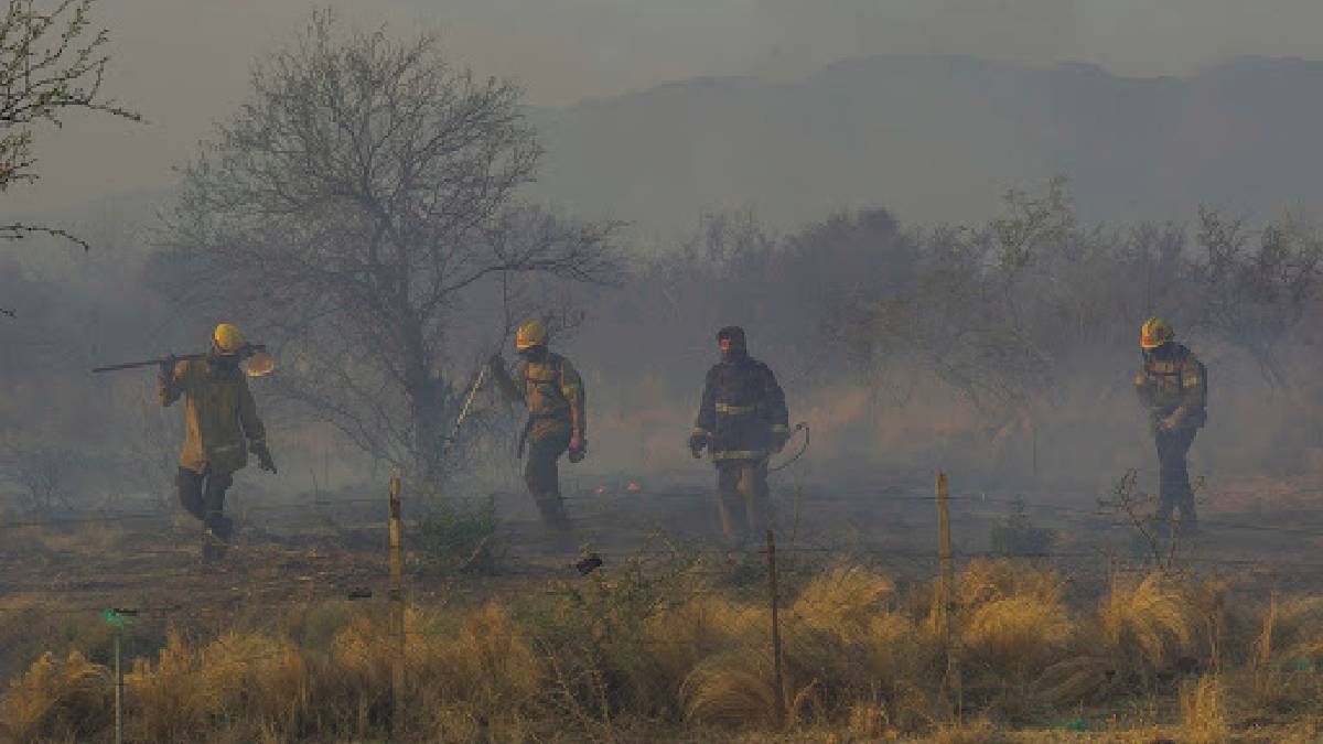 Siete Provincias Registraron Focos Activos De Incendios Forestales El Quid De La Cuestión 7402