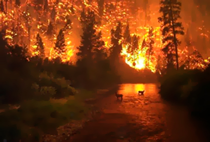 Escenas tristísimas y evacuaciones se producen en La Patagonia por ...